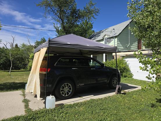 A black SUV under a shade tent. The multi-species ground cover is mostly green.